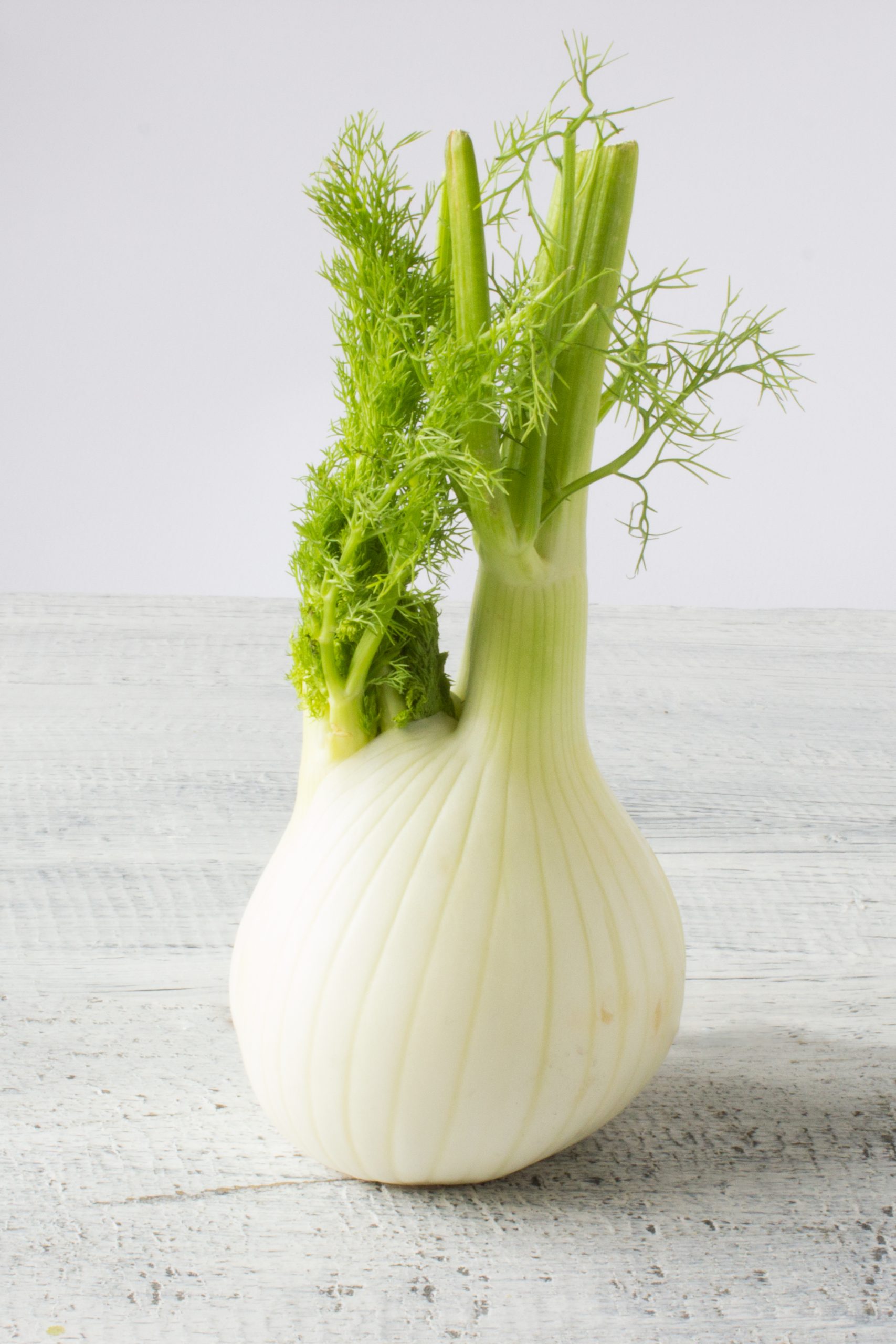 Fresh organic fennel on wooden white table